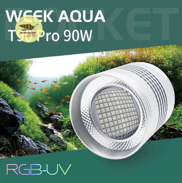WEEK AQUA LED=Light RGB UVT90pro 006