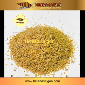 cat vang lon 02