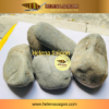 da cuoi size trung 02